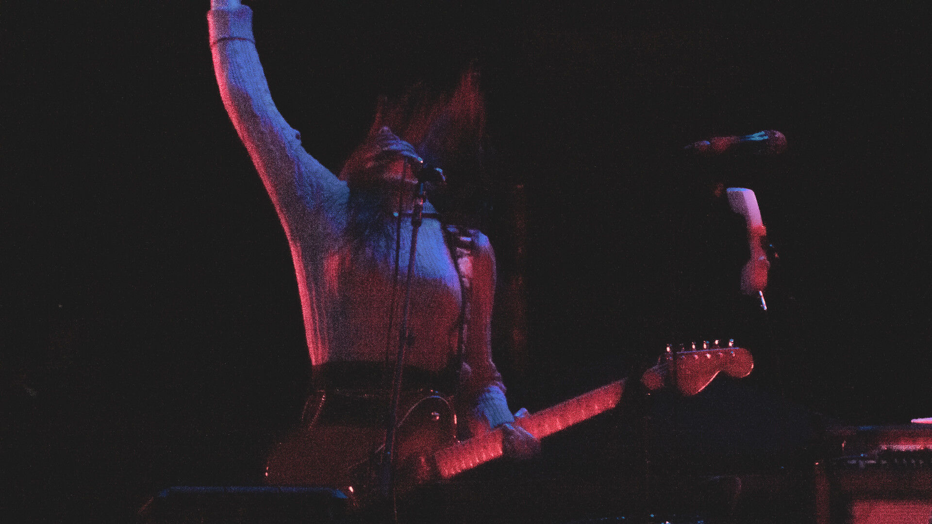 Le Butcherettes